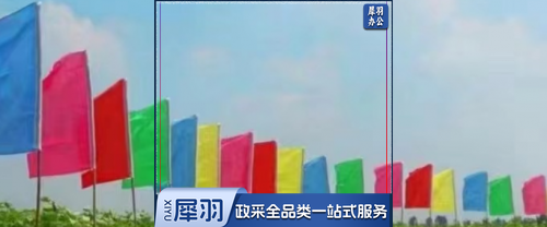 彩旗  90*140 不含旗杆