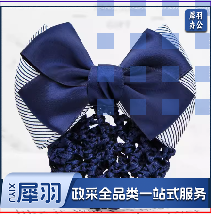 头花女职业盘发网兜 条纹二结蓝