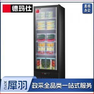 德玛仕 DEMASHI  LG-300ZH 保鲜柜 食品留样柜 单位学校公司幼儿园食堂保鲜冷藏展示陈列柜230升 工程款