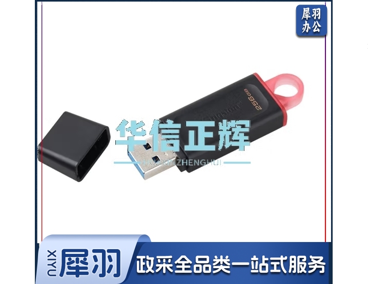 金士顿(Kingston)256GB USB3.2 Gen 1 U盘 DTX 大容量U盘 时尚设计 轻巧便携