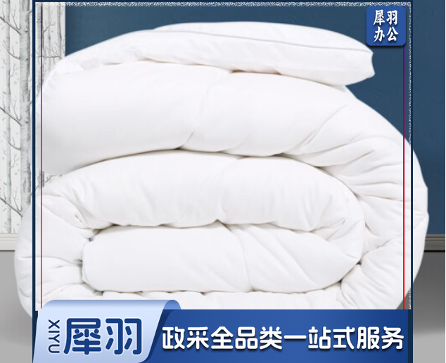 双人夏季酒店式被芯5斤       230cm*250cm  丝绒棉