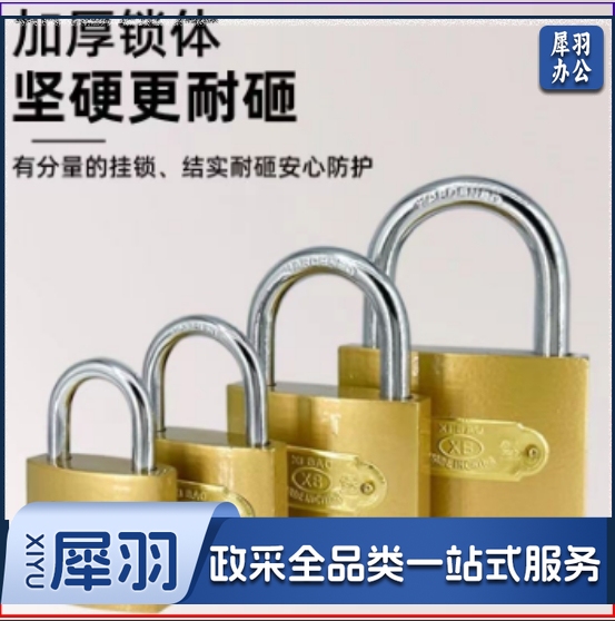 挂锁通用锁具门锁带钥匙 25cm