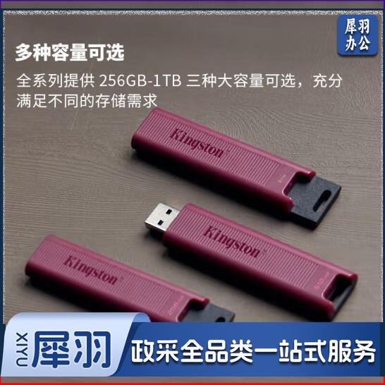  金士顿（Kingston）1TB USB3.2 Type-A 大容量固态U盘  闪存  优盘  DTMAX 读速高达1000MB/s 写速900MB/s 学习办公投标电脑通用