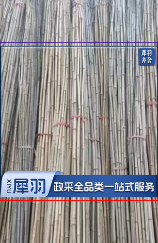 竹竿 活动飘旗竹杆 3.6米/根