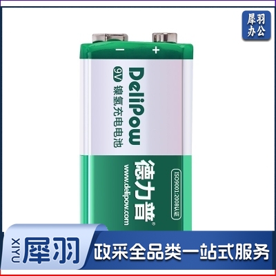 德力普 Delipow 9V充电电池 九伏9号6f22方形电池 适用话筒 麦克风 电吉他 万用表等