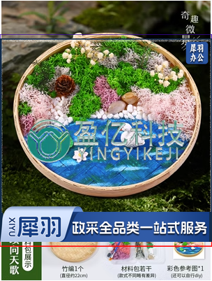 永生苔藓画材料包竹编筐手工DIY竹框创意植物画绿植相框暖场团建 曲项向天歌