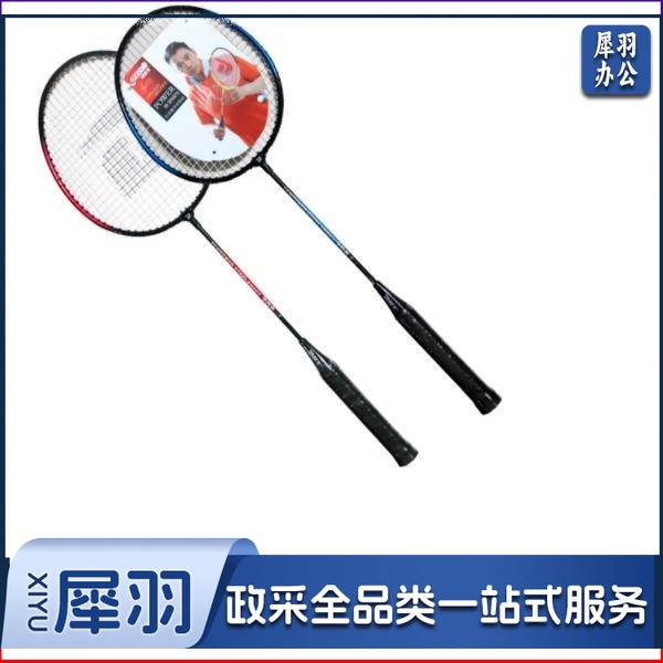 红双喜（DHS）羽毛球拍对拍 训练羽毛球拍 208 一副
