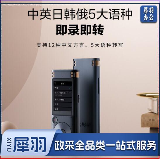 科大讯飞（iFLYTEK）AI智能录音笔SR302 Pro 星空灰