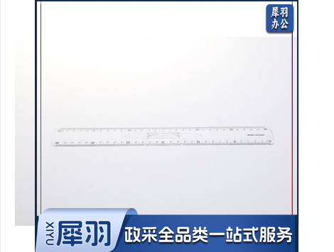 晨光直尺  易拿取直尺   30cm直尺    单把装直尺  ARLN0464直尺