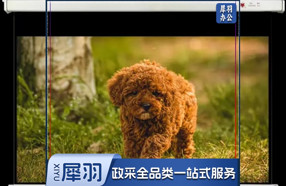 红叶新投影幕120英寸16:9电动遥控白玻纤幕投影仪幕布家用投屏布背景墙家庭影院投影屏投屏高清