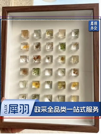 植物滴胶方块标本模具9格方块模具