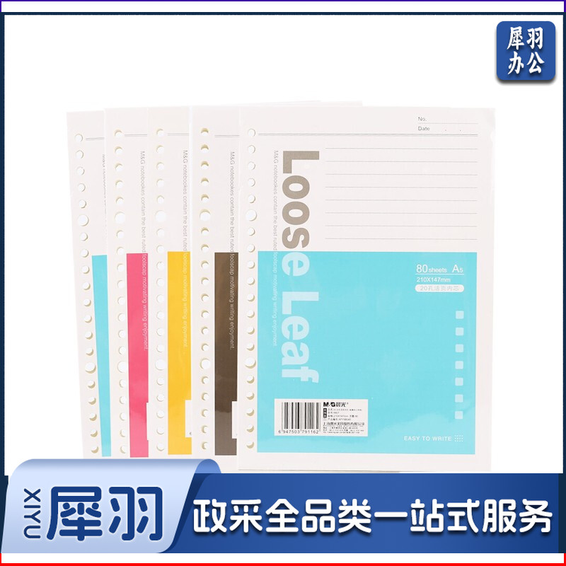 晨光A5活页芯20孔经典办公80页APY9B045 5本装