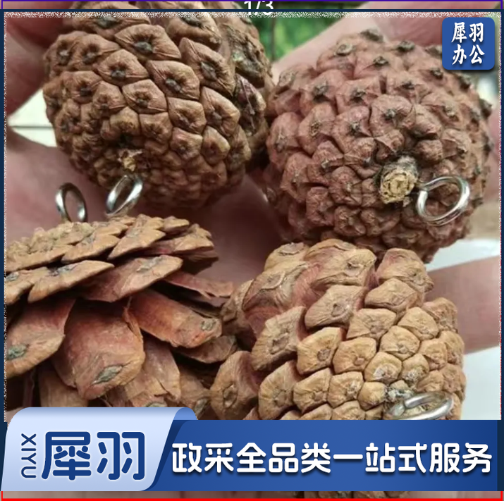 圣诞松果带钉松果天然手工圣诞装饰松果挂件摄影道具diy鹦鹉玩具