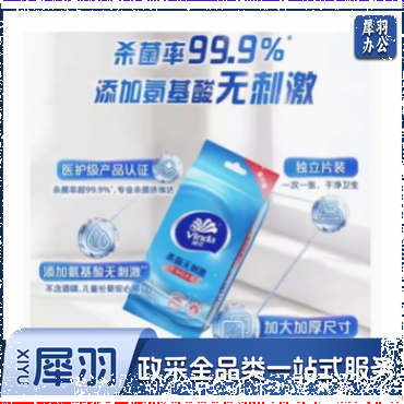 湿巾/湿纸巾 独立装，每包10片，杀菌款