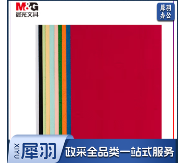 晨光(M&G)文具彩色A4/10色多功能 手工纸 折纸 卡纸 10页/包