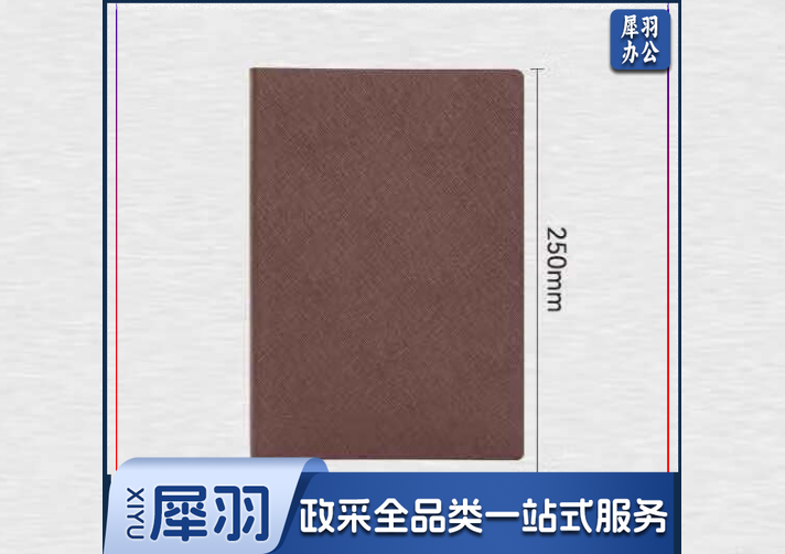 得力(deli)BP128皮面记事本 B5 120张笔记本(黑色)(本)