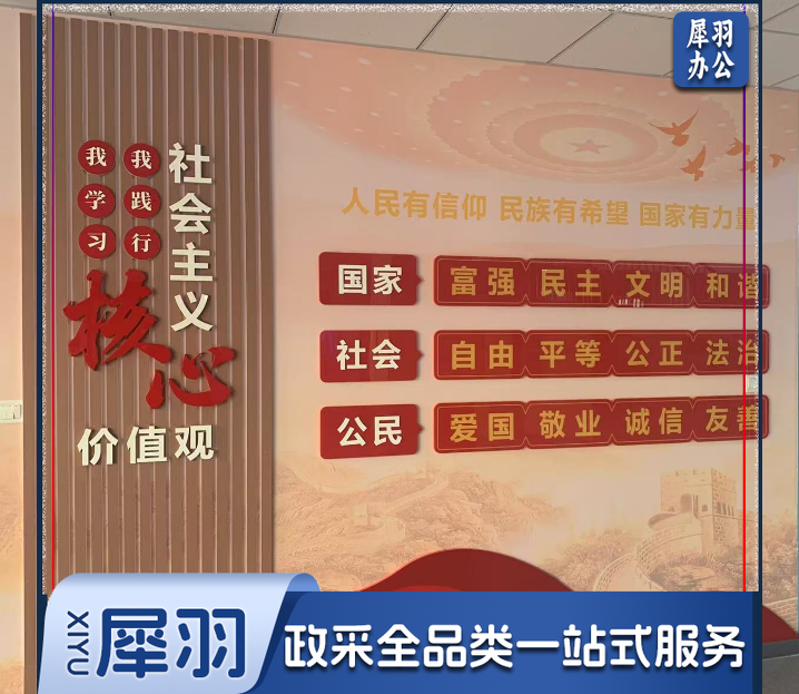 党建文化墙 形象背景墙 木塑板+亚克力可配插槽 可上门量尺(平米)