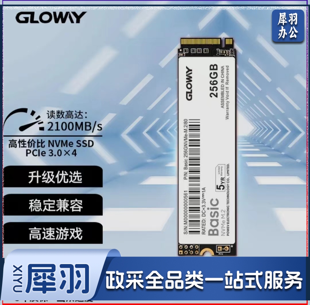 光威 256GB SSD固态硬盘 M.2接口(NVMe协议) Basic-基础版 TLC颗粒