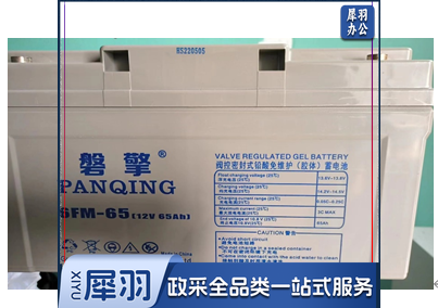 蓄电池6FM-65 (12V-65AH)