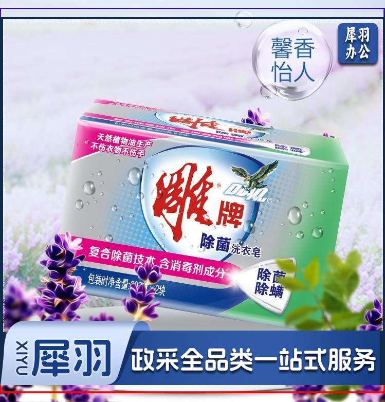 雕牌 除菌洗衣皂/肥皂202g