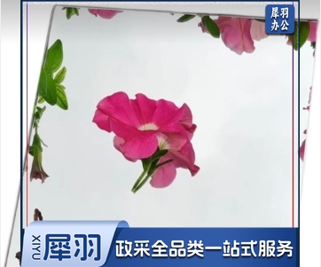 装饰镜子 590*330 (尺寸订购前确认，50张起订)