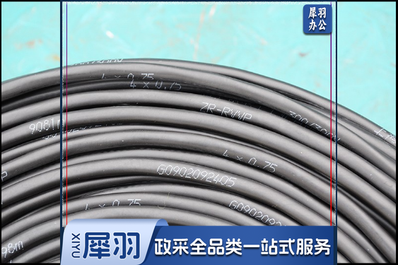 电线（品牌：津利 ZR-RVVP2*0.75）