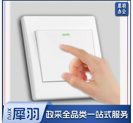 开尔 10A 单联开关