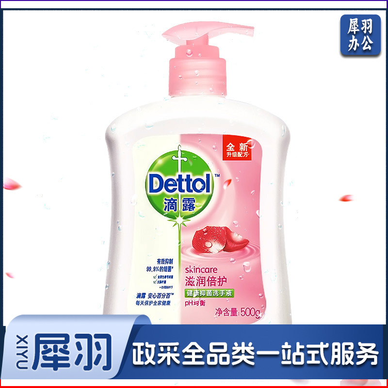 滴露洗手液 滋润倍护健康抑菌洗手液 500g