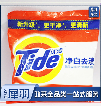 汰渍 洗衣粉(小袋)508克/袋