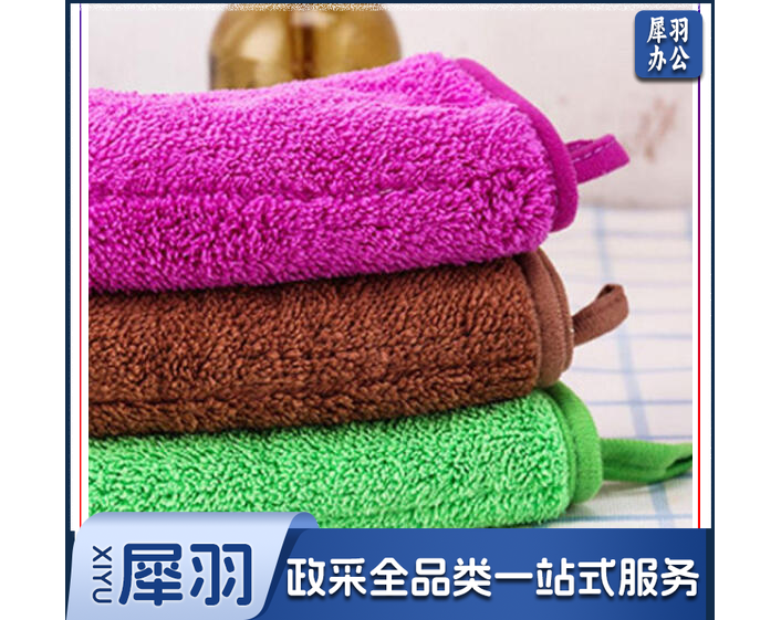 253清洁抹布加厚双层超细纤维珊瑚绒多功能清洁巾250*300mm颜色随机3条/包装