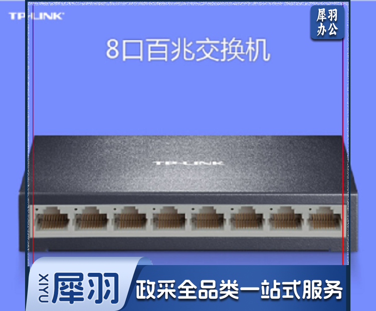 8口交换机（CX202409240928567901）