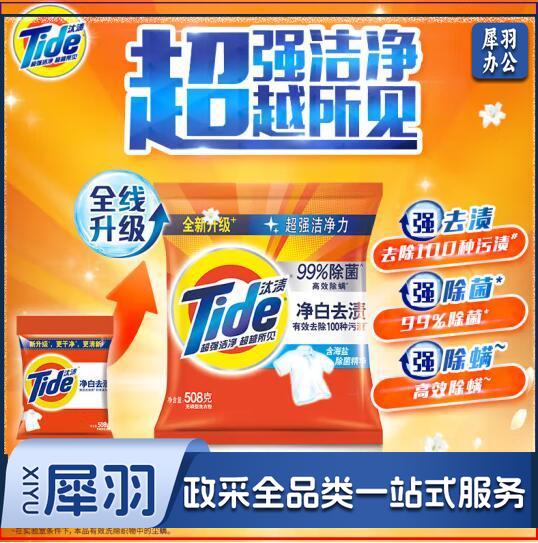 汰渍洗衣粉 净白去渍 508g*1袋