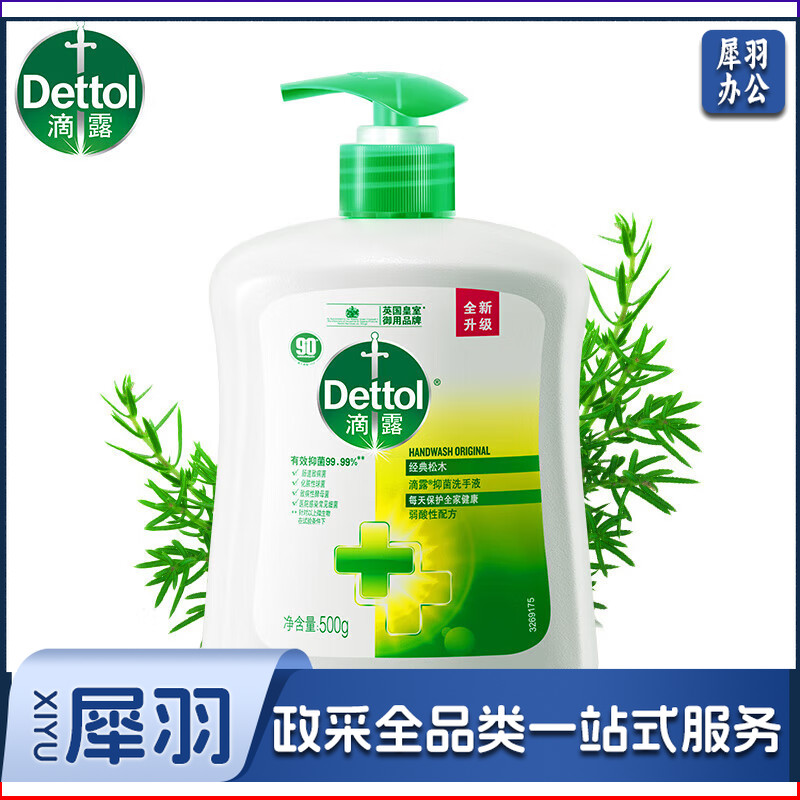 滴露洗手液 健康抑菌经典松木香500g