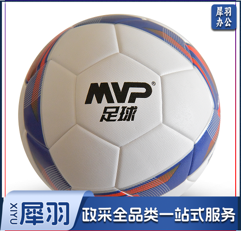 体育中考专用5号足球