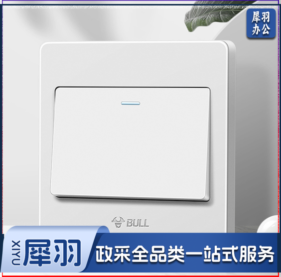 公牛  一开单控开关   G07K111C白色