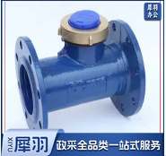法兰水表DN80
