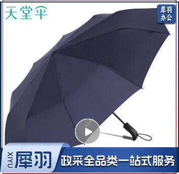 天堂伞 晴雨伞10骨加固一键开收易甩干简约全自动雨伞男女 藏青 58CM*10骨