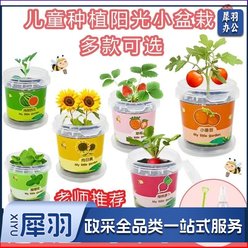 儿童种植小盆栽太阳花向日葵草莓花种籽子植物生长观察蔬菜种子（大塑罐+喷壶+小铲）