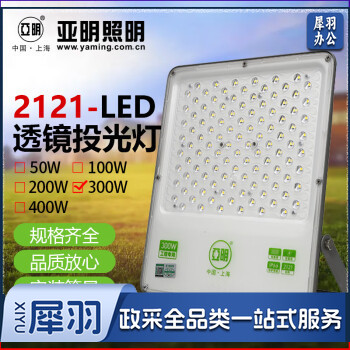 亚明 LED透镜投光灯 泛光灯户外防水射灯高杆灯探照灯 YM-2121系列-300W 足瓦透镜款 白光