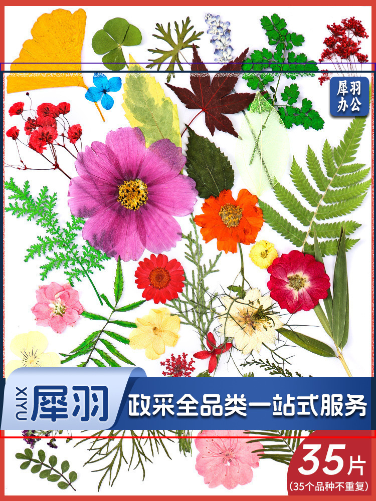 亚克力压花相框手工diy(橙心依旧(干花包30片))制作材料包干花植物标本框透明装饰绘画框