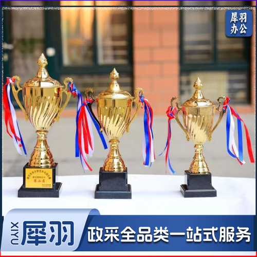 中号金属奖杯