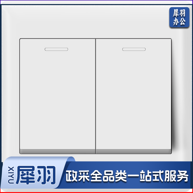 飞雕 二位开关 86型墙壁面开关E5-A 白色 双开单控 二开墙壁开关