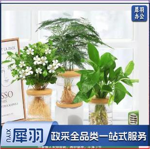 桌面摆件 盆栽 3盆/套