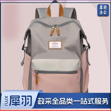 双肩包 防泼水旅行背包大容量15.6英寸电脑包 简约书包 粉配灰