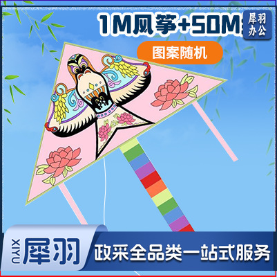 手绘风筝手工diy材料包绘画涂鸦儿童卡通玩具春季户外出游活动（填色风筝【1m】+50m线）