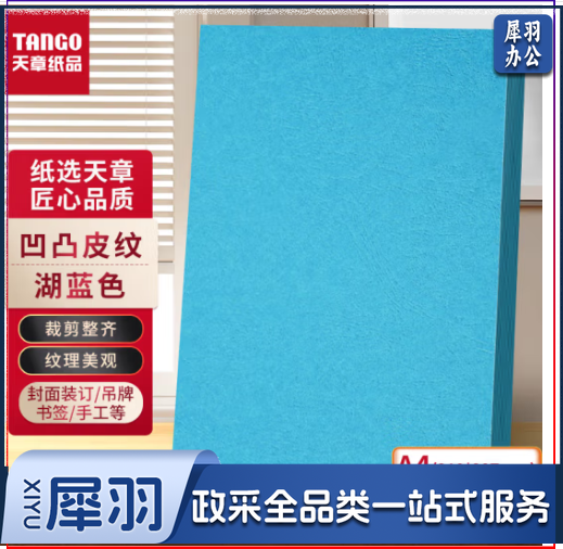 天章(TANGO)A4封面纸 双面凹凸皮纹纸 压纹纸 云彩纸 封皮纸 彩色卡纸标书封面 硬厚手工卡纸湖蓝色210g100张