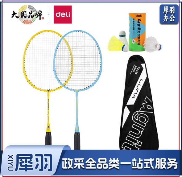 安格耐特F2135铁合金分体儿童羽毛球拍(蓝+黄)(2支副)(含三球).