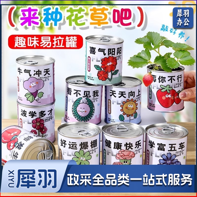 儿童易拉罐种植小盆栽幼儿园小礼物桌面61儿童节种子学生趣味绿植（为你种草）