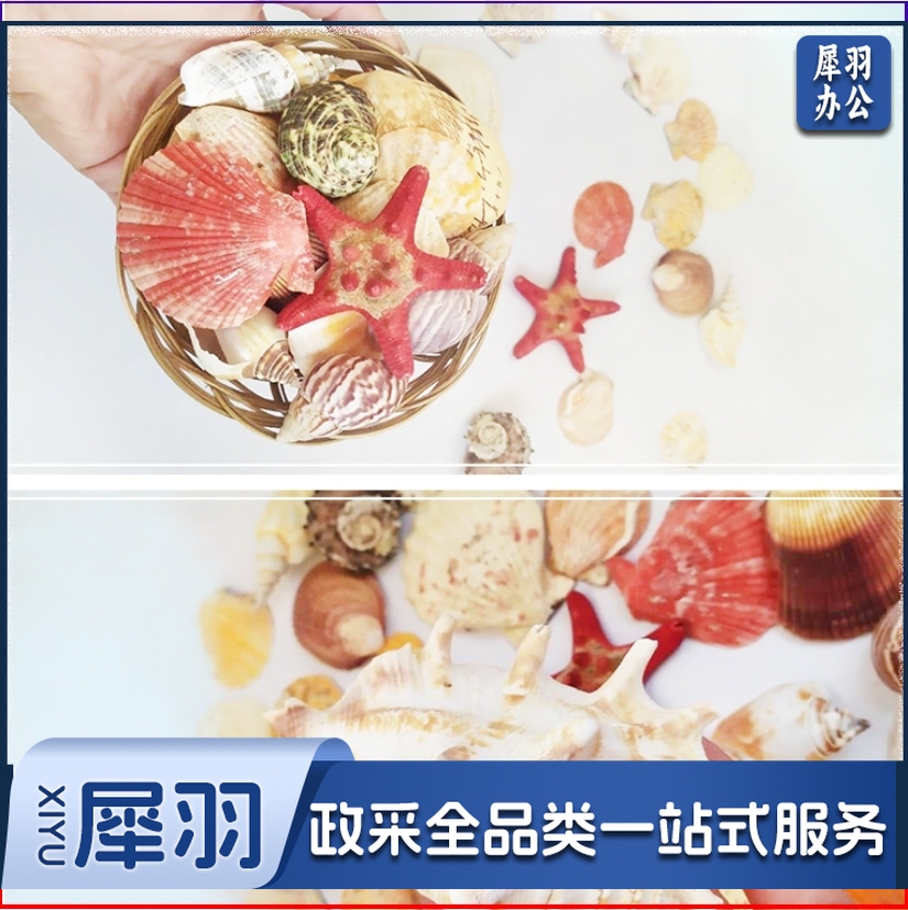 幼儿园DIY手工制品 贝壳套装 海洋品 混装 (袋装)