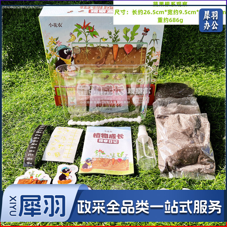 幼儿园学生劳动课学种植物根系生长透明观察盒儿童菜种子发芽记录（蔬果根系-种植套装）